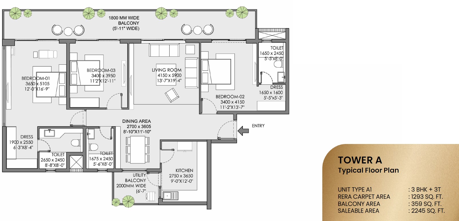 3 BHK Floorplan